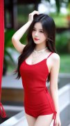 全基于纯视觉模子的从动驾驶手艺